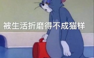 感情文案有点沙雕，感情文案句子