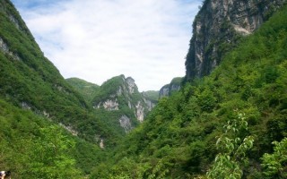 鹿院坪游玩攻略，鹿院坪游玩攻略 知乎