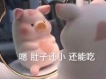 最近文案沙雕可爱，文案短句可爱沙雕