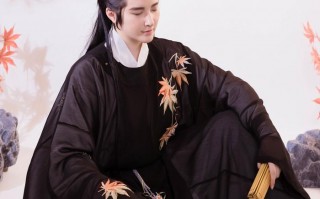 汉服穿搭种类男士图案，汉服穿搭种类男士图案大全