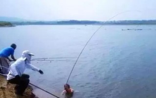 大鱼恶搞视频，大鱼恶搞视频大全