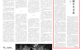 关于歌的短剧剧本，关于歌的短剧剧本有哪些