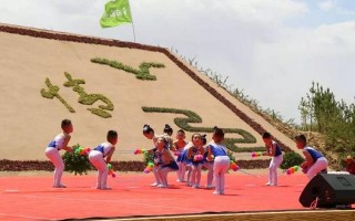 陕北榆阳地区游玩攻略，陕北榆阳地区游玩攻略大全